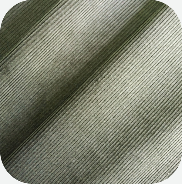 100% Cotton Corduroy, 8W, 360GSM,56＂